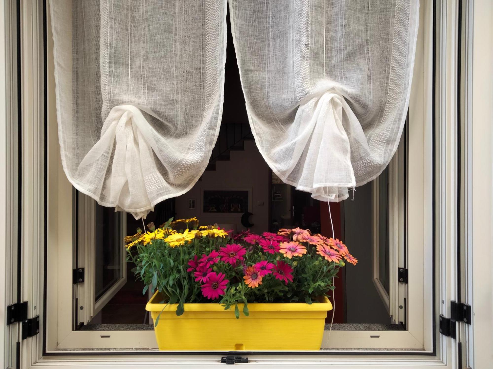 Al Quindici Scilla Bed & Breakfast Bagian luar foto